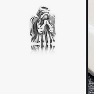 Pandora reflections locked and 2 inside charms